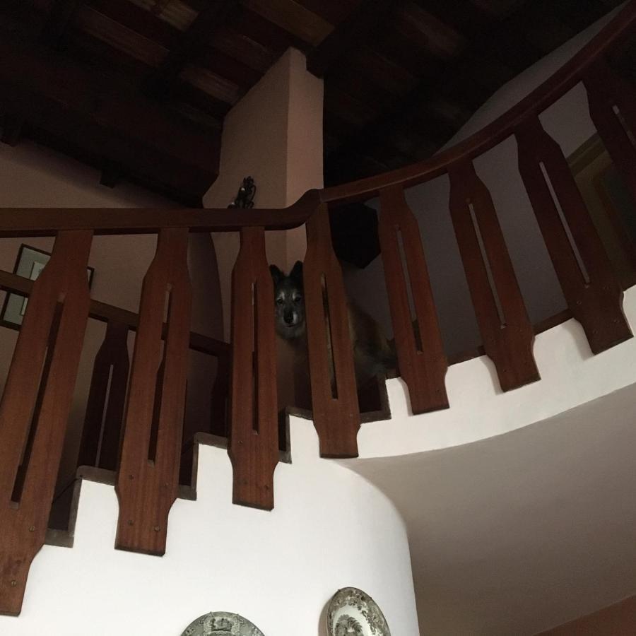 Bed and Breakfast Mirabilia Adrara San Rocco Esterno foto
